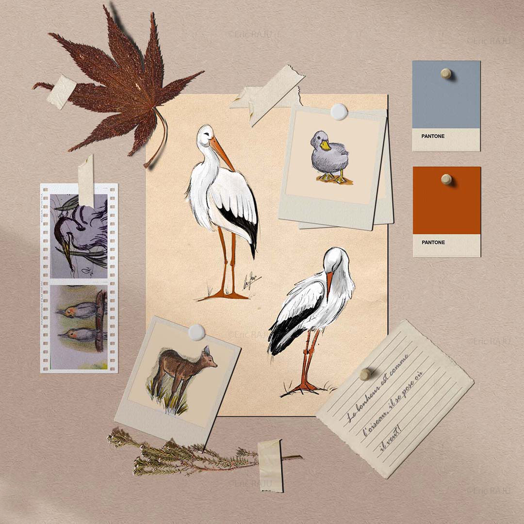 Cigogne