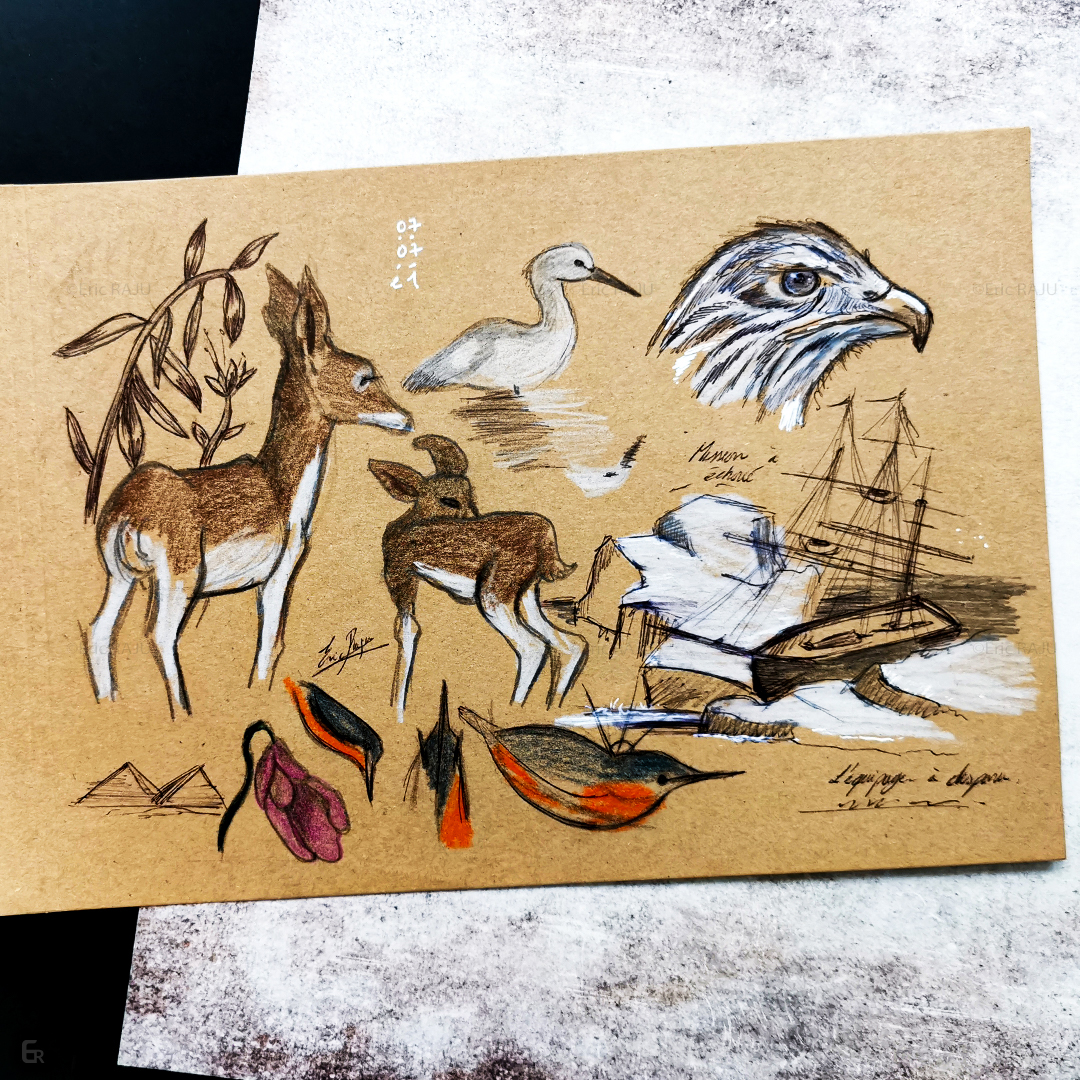 Carnet-voyage2-Filigran-6ric